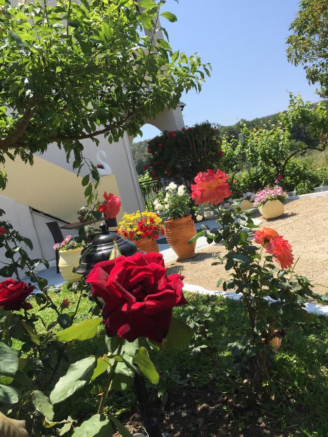 Villa Maria Perivólion Eksteriør bilde